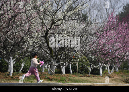 Hefei, Chine, Anhui Province. Mar 13, 2019. Un enfant joue au parc botanique à Hefei, Chine de l'est l'Anhui Province, le 13 mars 2019. Credit : Zhang Duan/Xinhua/Alamy Live News Banque D'Images