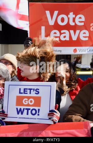 13Th Mar 2019. Béatrice Grant,Hair-Raising fois.Brexiteers campagne pour laisser un jour de tempête face au Palais de Westminster, Londres, Royaume-Uni. Crédit : michael melia/Alamy Live News Banque D'Images