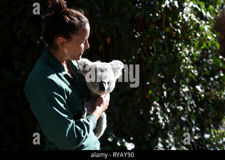 Madrid, Madrid, Espagne. Mar 13, 2019. Les 3 ans de "Koala" Ramboora est vu avec son gardien à l'extérieur enclos au zoo de Madrid, où les températures ont atteint jusqu'à 20 ÂºC pendant l'après-midi.Espagne AEMET Agence météorologique du dit enregistrer les températures sont attendus pour le mois de mars dans certaines provinces du pays. Selon AEMET, février 2019 a été l'un des mois les plus chauds des annales pour l'Espagne. Crédit : John Milner SOPA/Images/ZUMA/Alamy Fil Live News Banque D'Images