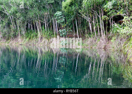 Vue du lac Eacham, un lac d'origine volcanique Rio Rico du Queensland, Australie, Banque D'Images