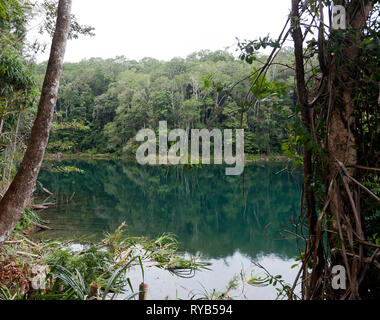 Vue du lac Eacham, un lac d'origine volcanique Rio Rico du Queensland, Australie, Banque D'Images