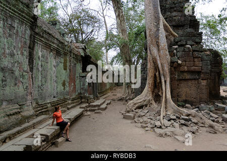 Femme assise sur le banc en pierre à Ta Promh temple à Angkor, Cambodge envahi par les racines des arbres Banque D'Images