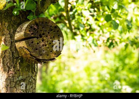 Hôtel d'insectes par l'homme dans une forêt verte. Une structure créée à partir de matériaux naturels destiné à fournir un abri et de conservation pour les insectes. Banque D'Images