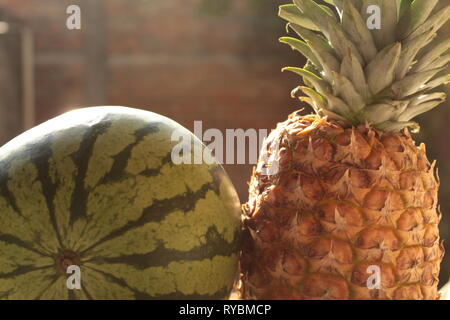 Close up de bodegón de frutas tropicales como piña, Sandia y melón foto tomada en mi jardín onu 11/00 lente 18-55mm canon de marque Banque D'Images