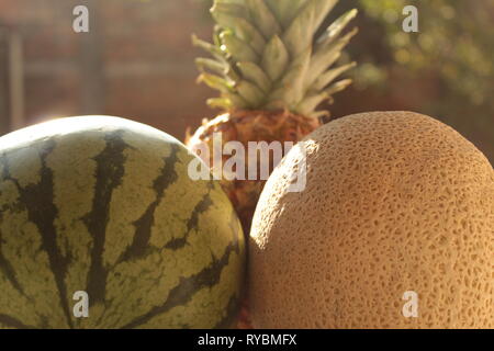 Close up de bodegón de frutas tropicales como piña, Sandia y melón foto tomada en mi jardín onu 11/00 lente 18-55mm canon de marque Banque D'Images