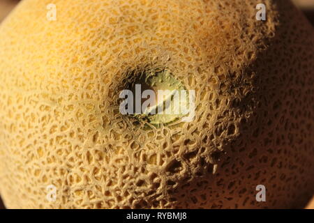 Textura de un melón, foto tomada en mi jardín en Tonala, Jalisco, Mexico 18-55 mm lente de l'ONU 11/00 canon y haciendo un zoom de l'ONU la cascara Banque D'Images