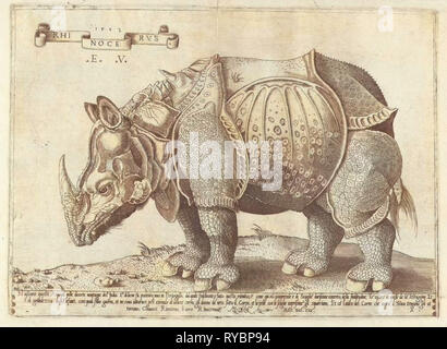 Le rhinocéros, l'Enea Vico, Albrecht Dürer, 1533 - 1567 Banque D'Images