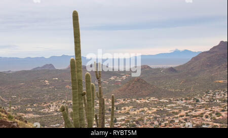 Paysage désertique robuste avec cactus près de petite ville Banque D'Images