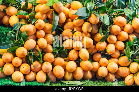 Sweet orange vif mûrs Maprang (Marian Mangue, mangue, prune prune Marian, Gandaria, Mayong Chid), fruits tropicaux thaïlandais traditionnels sur les étals de rue dans la r Banque D'Images