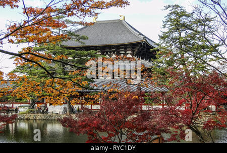 Temple Todaiji à l'automne à Nara, au Japon. Le Japon est l'un de Todaiji plus célèbre et historique des temples et un monument de Nara. Banque D'Images