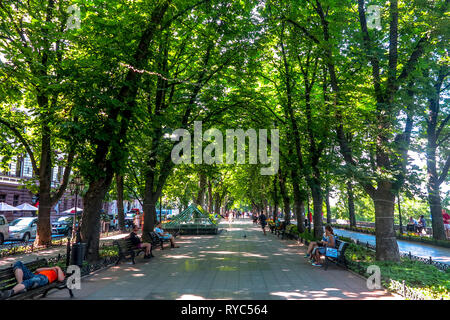 Odessa Istanbul Park Tree Alley avec des gens assis et dormir sur des bancs Banque D'Images