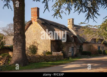 Maison Thathced à Hidcote Bartrim, Cotswolds, Gloucestershire, Angleterre Banque D'Images