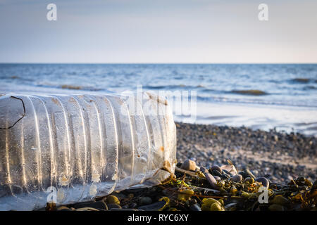 Une bouteille en plastique et d'algues sur une plage de galets avec l'océan en arrière-plan et un faible soleil Banque D'Images