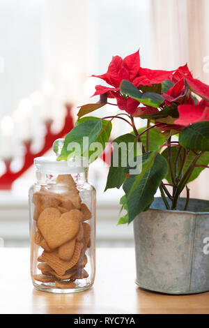 Heartshaped ginger cookies dans un bocal de verre Banque D'Images