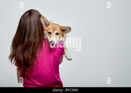 Belle fille avec un Welsh Corgi sur ses mains sur un fond gris, copy space Banque D'Images