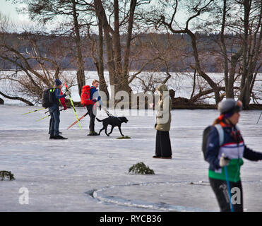 Patineurs sur glace longue distance avec chien labrador noir au cours d'Sigtunarannet Vikingarannet 2019 sur le lac Malaren, Sigtuna, Suède, Scandinavie Banque D'Images