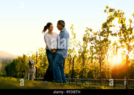 Couple dancing in a vineyard. Banque D'Images