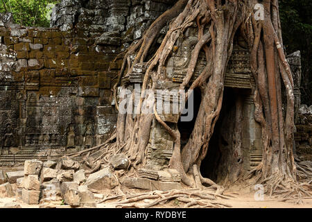 Ta Som temple jungle en zone archéologique d'Angkor au Cambodge Banque D'Images