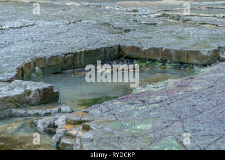 Des formations argileuses du Jurassique supérieur Kimmeridge Bay dans le Dorset au Royaume-Uni Banque D'Images