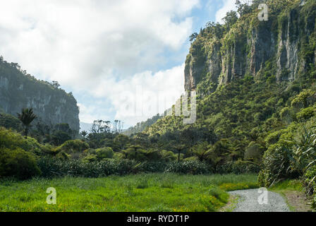Les magnifiques falaises de dolomie et de plantes le long de la piste, Memorial 29 Pike River Poraron Paporoa, parcs nationaux, Punakaki, Nouvelle-Zélande. Banque D'Images