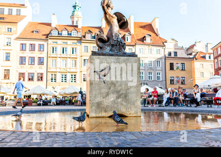 Varsovie, Pologne - 22 août 2018 : paysage urbain historique avec l'architecture des bâtiments et sirène fontaine place du marché de la vieille ville avec des oiseaux pigeo Banque D'Images