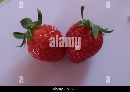 Fraise mûre, fruits, photo utilisé pour la conception publicitaire, packaging, marketing, voyage et plus Banque D'Images