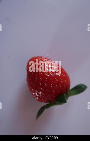 Fraise mûre, fruits, photo utilisé pour la conception publicitaire, packaging, marketing, voyage et plus Banque D'Images