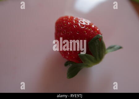 Fraise mûre, fruits, photo utilisé pour la conception publicitaire, packaging, marketing, voyage et plus Banque D'Images