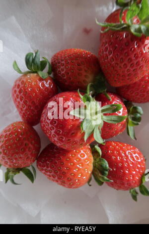 Fraise mûre, fruits, photo utilisé pour la conception publicitaire, packaging, marketing, voyage et plus Banque D'Images