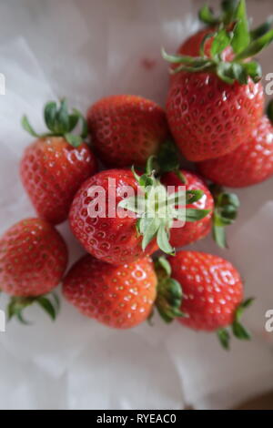 Fraise mûre, fruits, photo utilisé pour la conception publicitaire, packaging, marketing, voyage et plus Banque D'Images