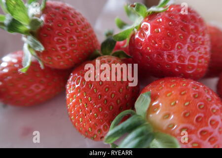 Fraise mûre, fruits, photo utilisé pour la conception publicitaire, packaging, marketing, voyage et plus Banque D'Images