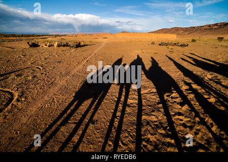 Silhouettes de chameaux avec des touristes en désert du Sahara. Banque D'Images