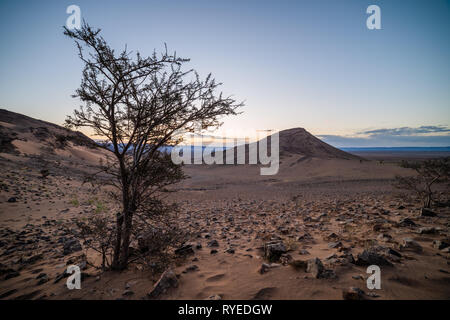 Paysage de désert du Sahara. Banque D'Images