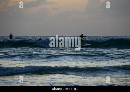 Silhouette de sup surfeurs dans la mer Méditerranée. Photographié à Tel Aviv au coucher du soleil Banque D'Images