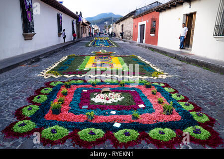 Antigua, Guatemala - 23 mars 2018 : Alfombre tapis de fleurs colorées sur les rues pavées le long de bâtiments coloniaux Banque D'Images