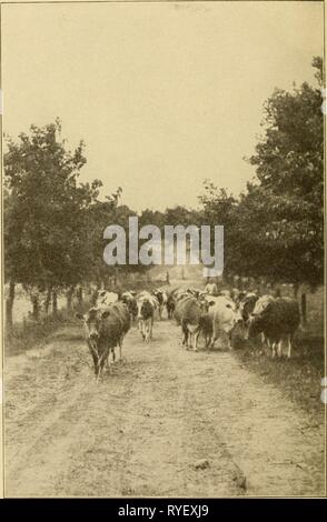 L'agriculture primaire du Tennessee, avec des artithmetic elementaryagricu hatc Année : 190902 Banque D'Images