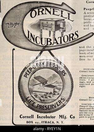 L'easternpoultryma poultryman électionné56Année : 1904 L'POULTRYMAN. 85 Promotion de l'INCUBATEUR Incubateurs Cornell et peep-O'-Journée scientifique éleveuses, la fiabilité et la rentabilité des combinationâ parce qu'ils sont le plus parfaitement construits et sont plus pratiques et améliorer original et protégées par des brevets que toutes les autres. Un livre de 43 pages de plus précieux témoignages 98- incubateur page catalogue et livre de renvoi pour la volaille- hommes jamais publiés envoyé gratuitement aux personnes intéressées. Owensboro, l'AC.. Le 20 septembre, S3. Incubateur de Cornell, Ithaca, N. T. GentlemenâIn regar Banque D'Images
