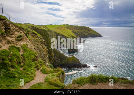 Old Head Golf et Lin Banque D'Images