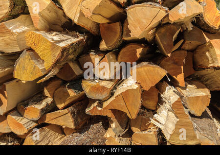 Fullframe fond de bois de sciage allongé au soleil. Banque D'Images