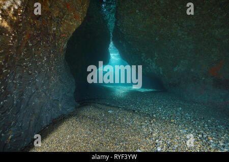 À l'intérieur d'une grotte peu profonde sous l'eau dans la mer Méditerranée, scène naturelle, France Banque D'Images