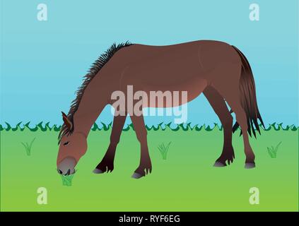 Une illustration d'un cheval brun dans un champ mange de l'herbe. Illustration de Vecteur