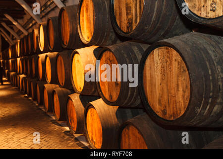 Vue de l'intérieur de rangées de fûts de vin en cave à vin de vieillissement Banque D'Images