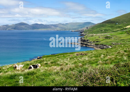 Vue paysage dans l'ouest de Kerry, péninsule de Beara en Irlande Banque D'Images