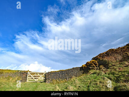 Porte d'entrée sur le terrain en bois et mur de pierres sèches, à Morthe Point, North Devon, Angleterre. Banque D'Images