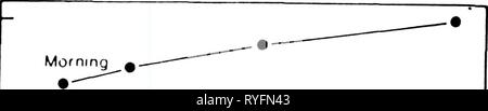 Effets du chlorure de sodium et de polyéthylène glycol sur les relations hydriques, la croissance et la morphologie des semis d'effectsofsodiumc porte-greffes d'agrumes00zekr Année : 1987 69 03 5 1,5 1,0 cl u o â 5 Â°-5^   Midi Banque D'Images