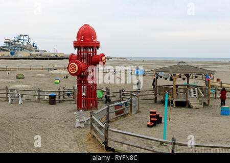 Un parc pour chiens sur la plage de Wildwood par la mer, New Jersey, USA Banque D'Images