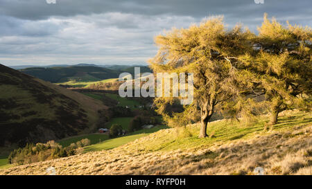 Soirée dramatique du voyant de l'eau au sud de Biggar Culter dans la région des Scottish Borders, les lointaines collines de Pentland près d'Édimbourg peut être vu. Banque D'Images