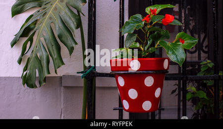 Dans un pot de fleurs. Pot de fleurs debout sur un rebord de fenêtre. Banque D'Images
