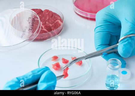 Échantillon de viande en boîte de culture cellulaire jetables en plastique dans un laboratoire moderne ou installation de production. L'étiquette écrite sur le plat a été générée fo Banque D'Images