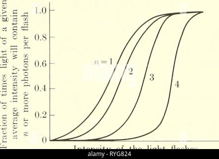 Biophysique élémentaire : thèmes choisis elementarybiophy00epst Année : 1963 intensité intensité seuil /  Fig. 17. Une représentation schématique de la fréquence avec laquelle un flash de chaque intensité est considérée, pour deux modèles. Le modèle simple suppose que chaque flash a le même nombre de photons. La fluctuation modèle prend en compte le fait qu'un nombre moyen de photons (tracés sur l'abscisse) aura une fluctuation du nombre de photons dans chaque flash, pour des raisons expérimentales. L'intensité de la lumière clignote (sur une échelle logarithmique) Fig. Est. Les courbes calculées de la fr Banque D'Images